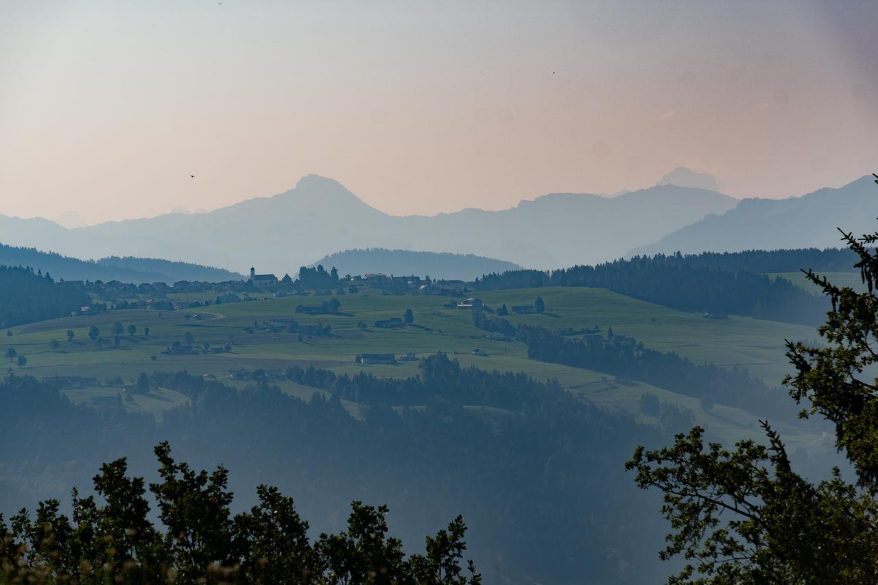 Hotel Edita Scheidegg Εξωτερικό φωτογραφία